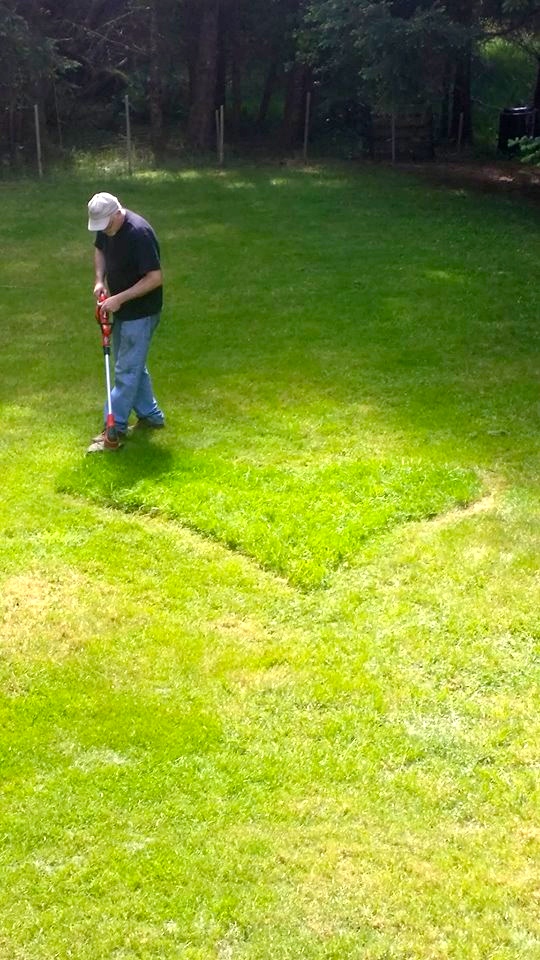 10458838_10203031880198373_6441010212466036667_n