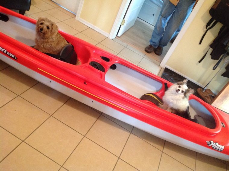 1662577_10203312145884840_1992348141002391474_n