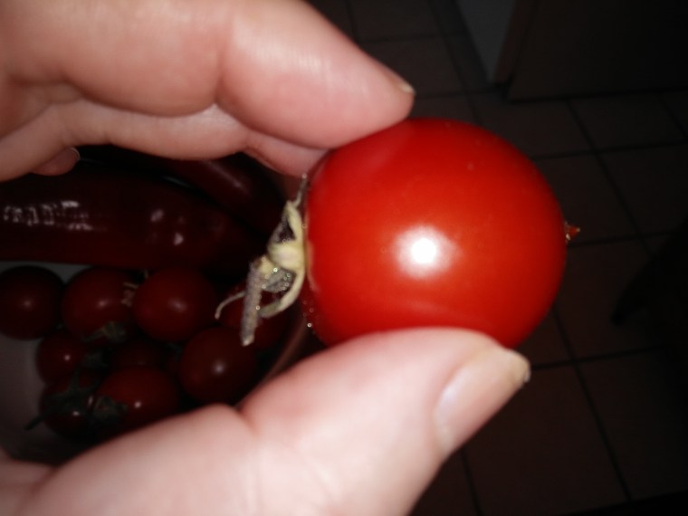 IMG_20160725_153110 (1)