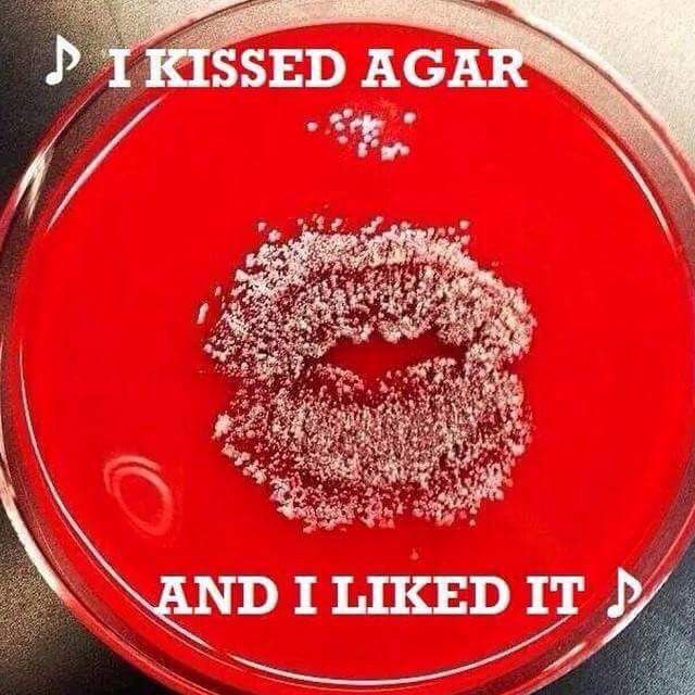 25ddd1d1c1ac095316ee48661692cc97