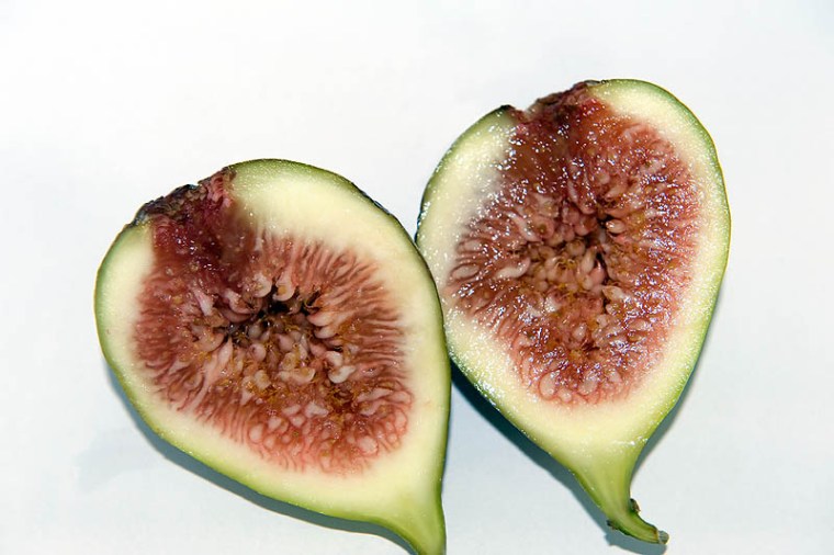 Figs_030213_0001