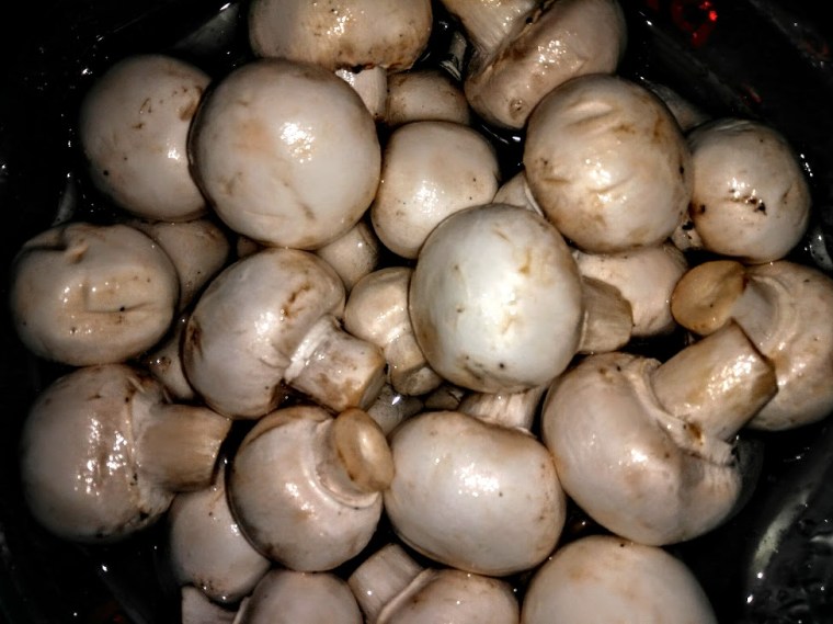 duo1xtkiwjanc0cup6_xtrtbc01ikkopv-xtmpjyhgknesjwwm5xi2nfiuu_vvk2gk4db9irwqw975-h731-no